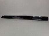 Other rear door trim element