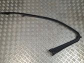 Other front door trim element