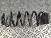 Rear coil spring