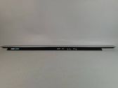 Rear door glass trim molding