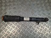 Rear shock absorber/damper
