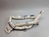 Airbag de toit