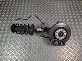 Front wheel hub spindle knuckle