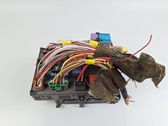 Fuse module