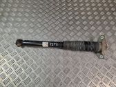 Rear shock absorber/damper