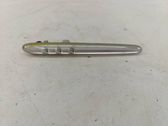 Front fender indicator light