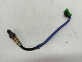 Sonde lambda