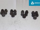 Nuts/bolts