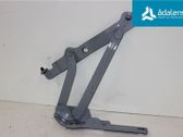Tailgate/trunk/boot hinge
