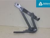 Tailgate/trunk/boot hinge