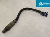 Lambda probe sensor