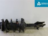 Front shock absorber with coil spring
