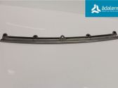 Engine hood trim