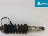 Rear shock absorber/damper