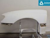 Guardabarro