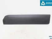 Rear door trim (molding)