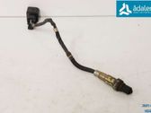 Sonde lambda