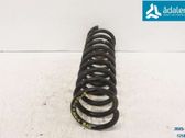 Muelle espiral trasero
