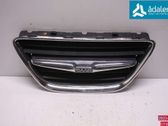 Front bumper lower grill