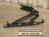 Tailgate/trunk/boot hinge