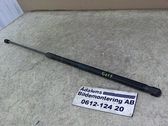 Front bonnet/hood damper/strut