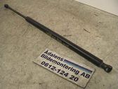 Front bonnet/hood damper/strut