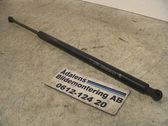 Front bonnet/hood damper/strut