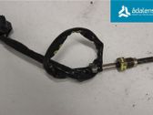 Sensor de temperatura del escape