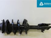 Front shock absorber with coil spring