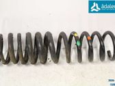 Muelle espiral trasero