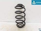 Muelle espiral trasero