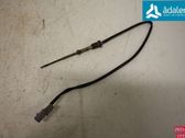 Sensor de temperatura del escape