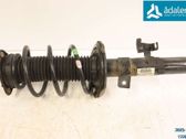 Front shock absorber with coil spring