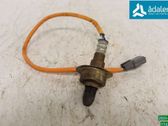 Sonde lambda