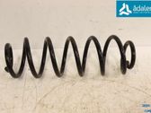 Rear coil spring