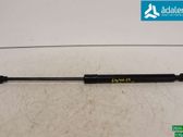 Front bonnet/hood damper/strut