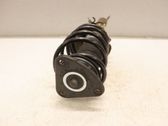 Front shock absorber with coil spring