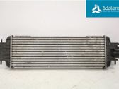 Intercooler radiator