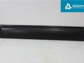 Front door trim (molding)