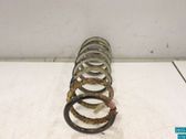 Muelle espiral trasero