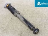 Stoßdämpfer hinten
