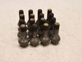Nuts/bolts