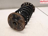 Front shock absorber with coil spring