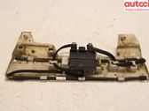 Tailgate/trunk strut/damper