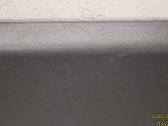 Rear door trim (molding)