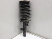 Front shock absorber with coil spring