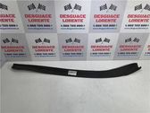 Listón embellecedor de la puerta delantera (moldura)