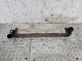 Intercooler radiator