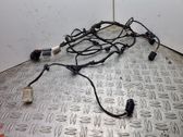 Other wiring loom