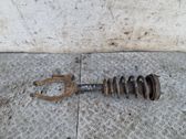 Front shock absorber with coil spring